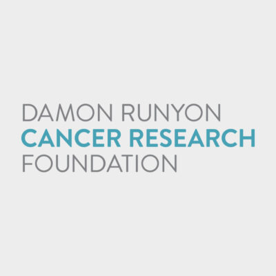 Damon Runyon supports bold research by emerging talent.